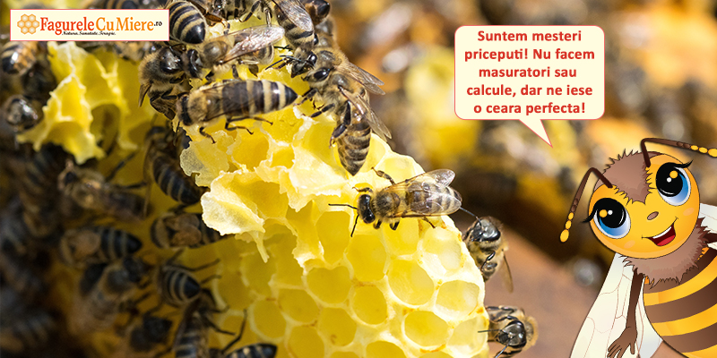 Read more about the article Lumanarile din ceara de albine salveaza situatia