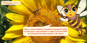 Read more about the article Mierea de floarea soarelui si testele de la scoala