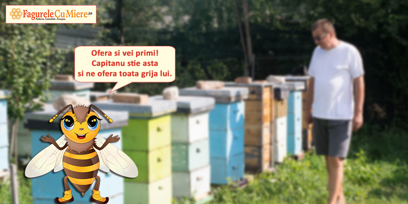 Read more about the article Calendarul apicultorului